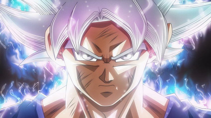 Mastered Perfect Ultra Instinct Goku Dragon Ball Super HD wallpaper ...