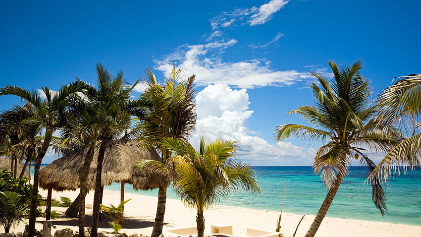 Mayan Riviera Playa Del Carmen Holidays Holidays to [] for your , Mobile & Tablet. Explore Playa Del Carmen . Playa Del Carmen , Carmen Sandiego HD wallpaper