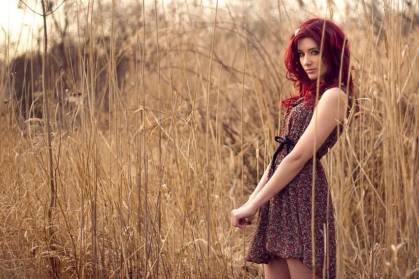 スーザン・コフィー、赤毛、美しい、人々、ドレス、有名人、小麦、自然、モデル 高画質の壁紙