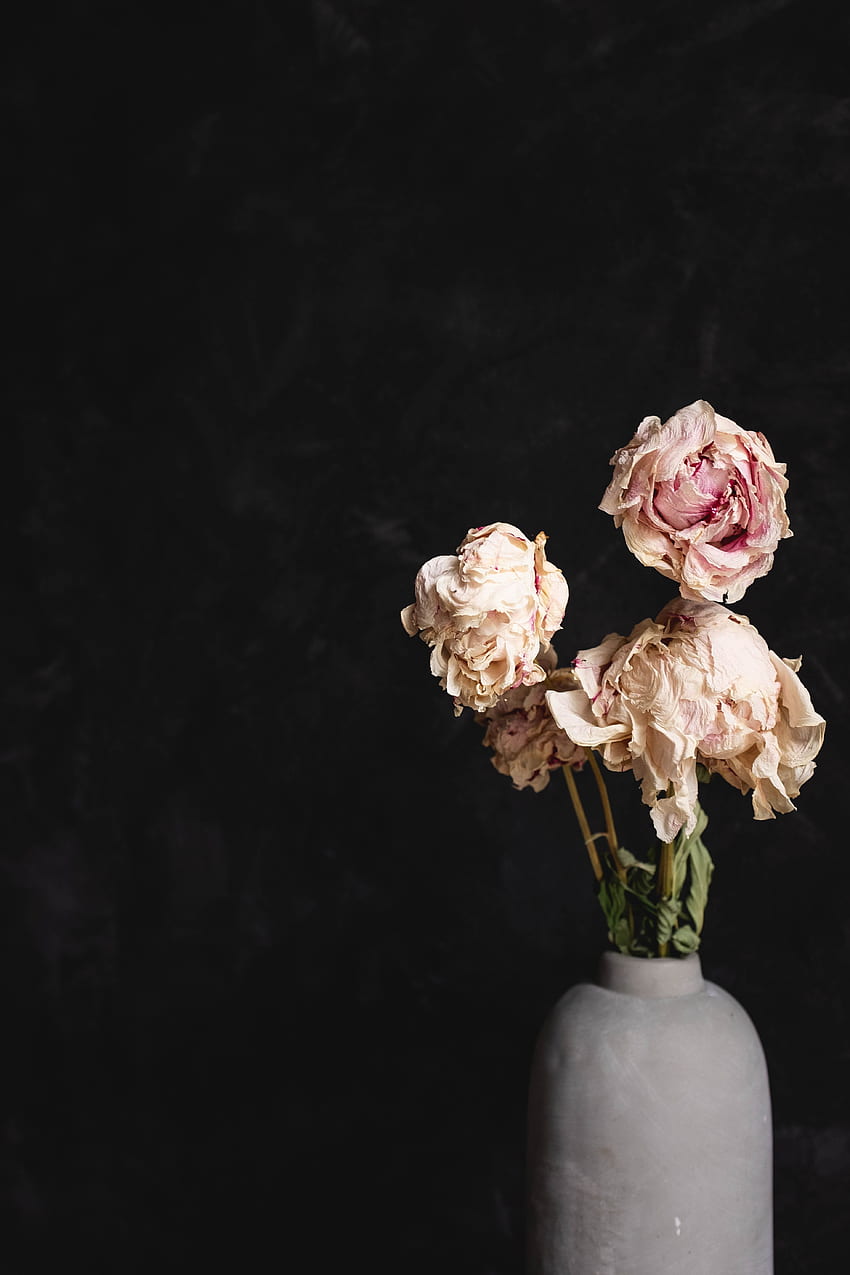 Flowers, Roses, Bouquet, Vase, Dry HD phone wallpaper