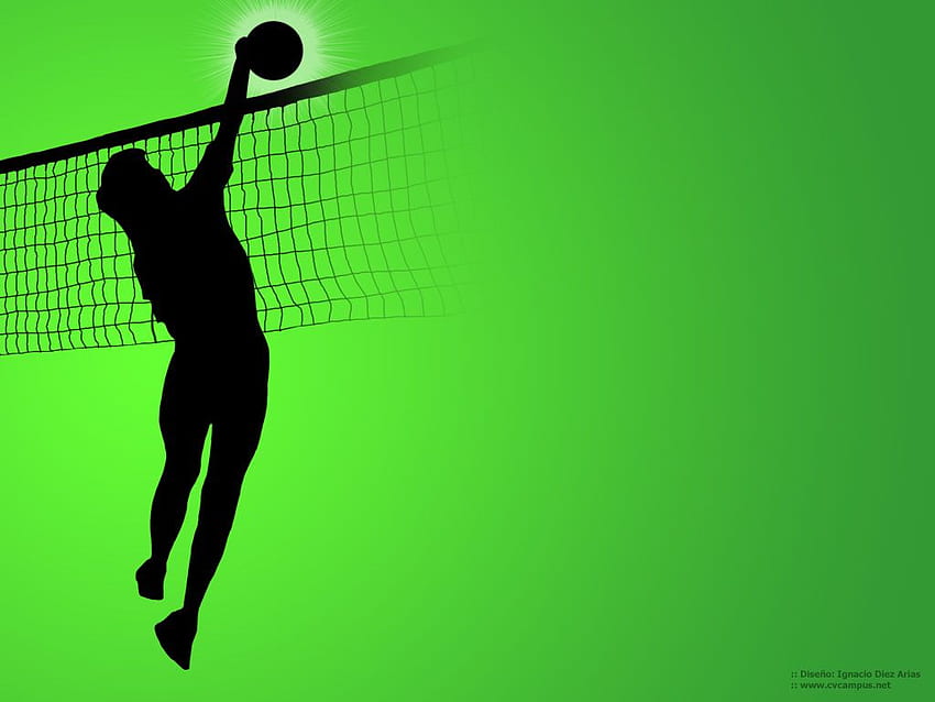 Volleyball and Background, Indoor Volleyball HD wallpaper