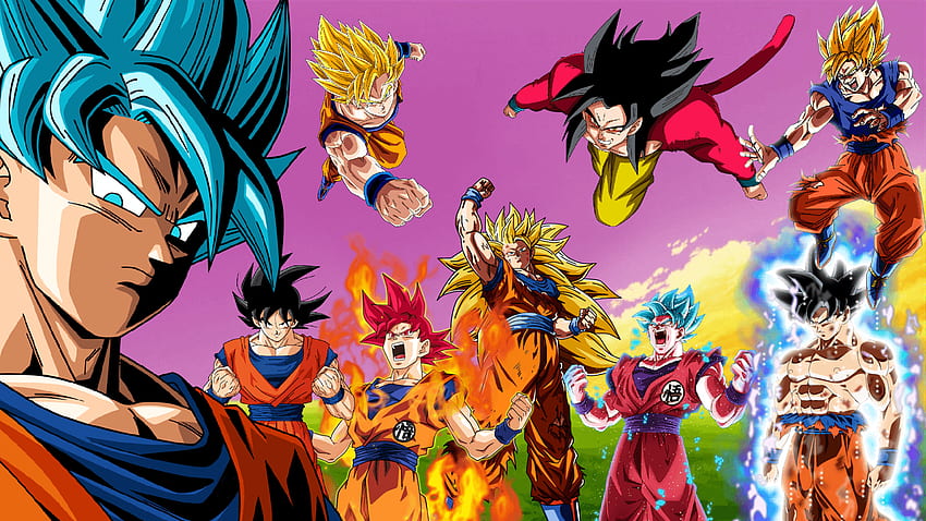 Goku Forms HD wallpaper | Pxfuel
