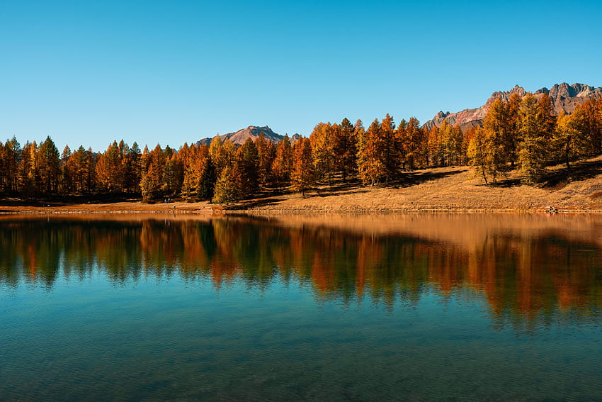 naturaleza, árboles, otoño, lago, reflexión fondo de pantalla