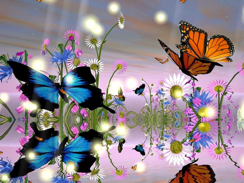 Butterfly, Forest Fly Butterfly HD wallpaper