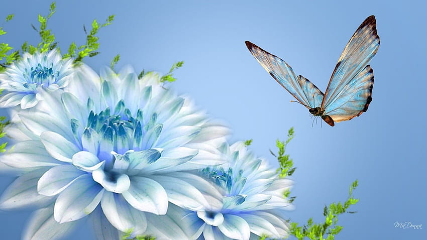 Bunga Biru dan kupu-kupu. Koleksi Top berbagai jenis bunga di , Mawar dan Kupu-kupu Wallpaper HD