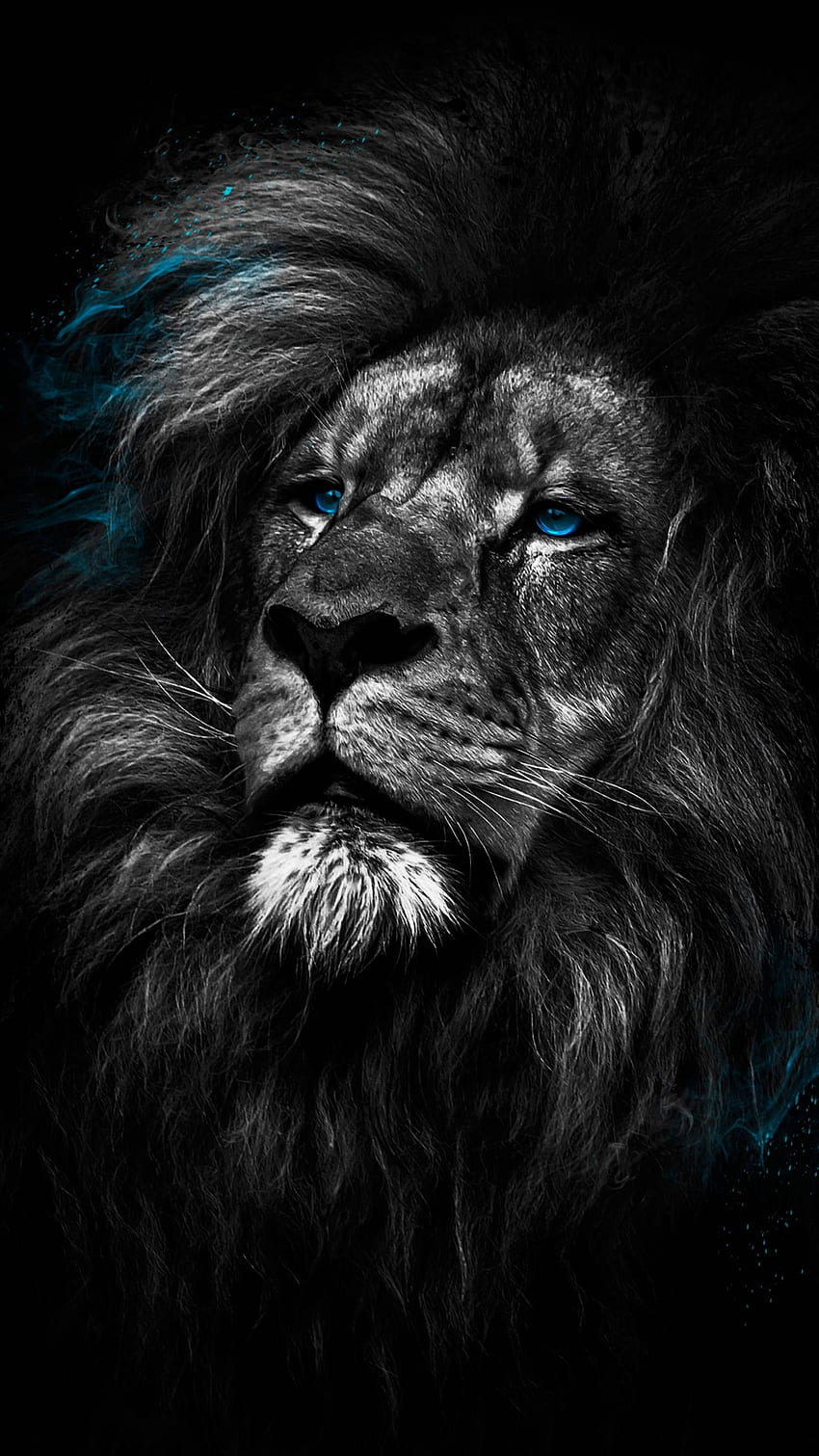 Lion Dark Amoled Android Black, For android HD phone wallpaper