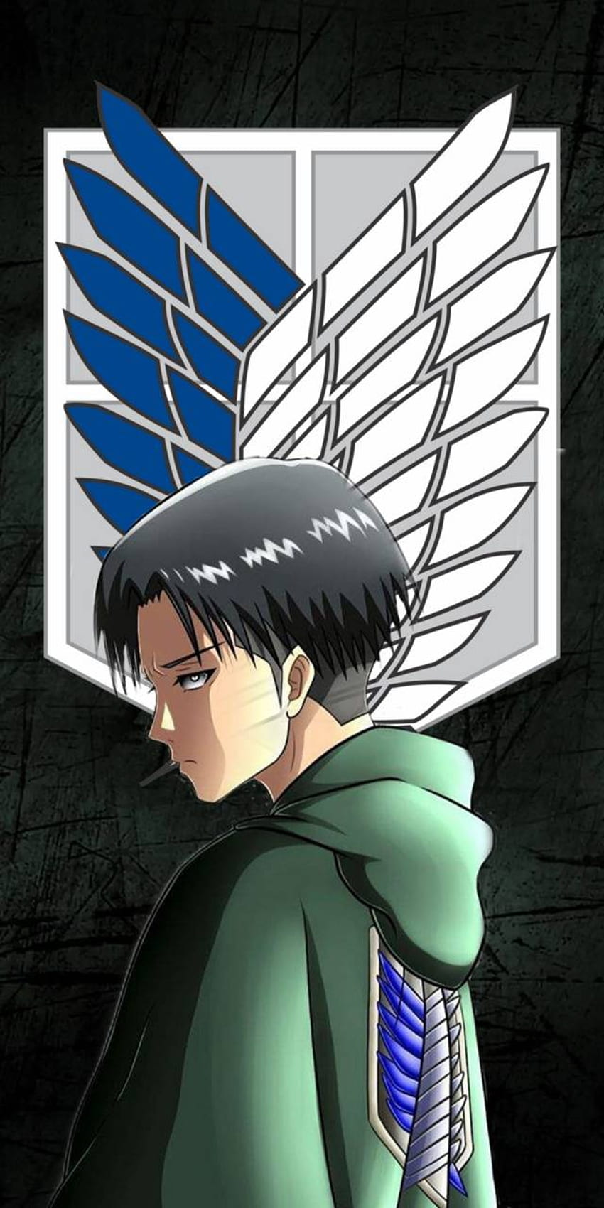 Attack on titan levi by, Attack On Titan Android HD phone wallpaper