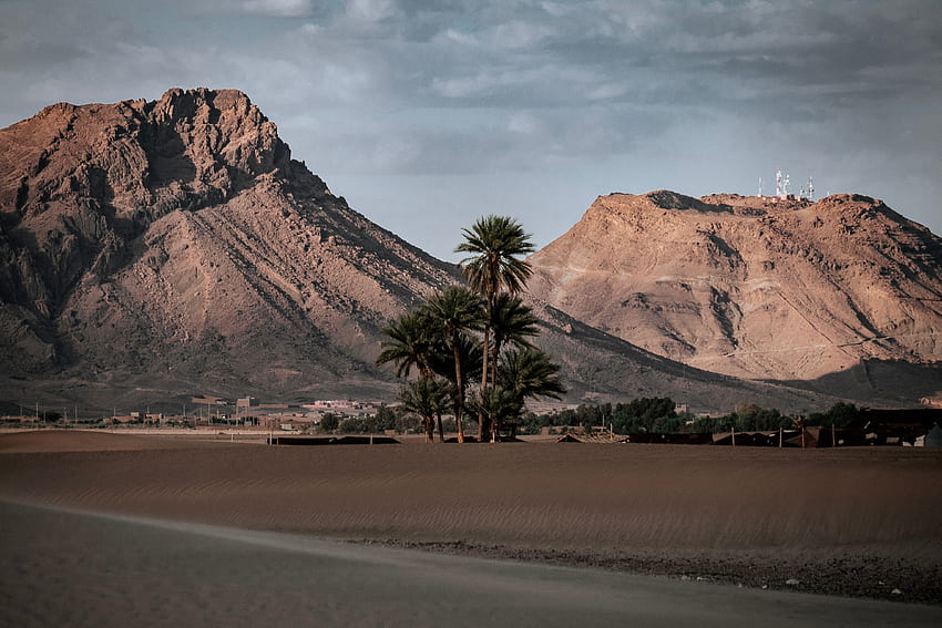 Natur, Berge, Sand, Palmen, Wüste, Oase HD-Hintergrundbild