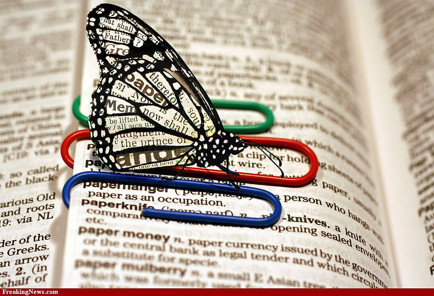 Dicionário e uma borboleta, azul, clipes de papel, palavras, asas transparentes, borboleta, verde, vermelho, dicionário papel de parede HD