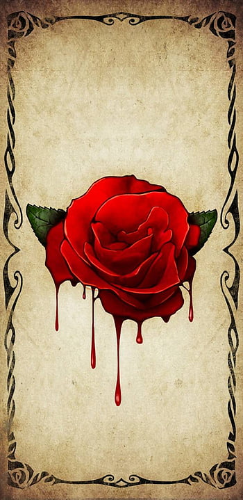 Blood rose from blood HD wallpapers | Pxfuel