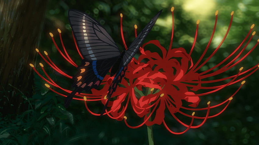 Lys Araignée, Tableau Anime, Lis Araignée Rouge Fond d'écran HD