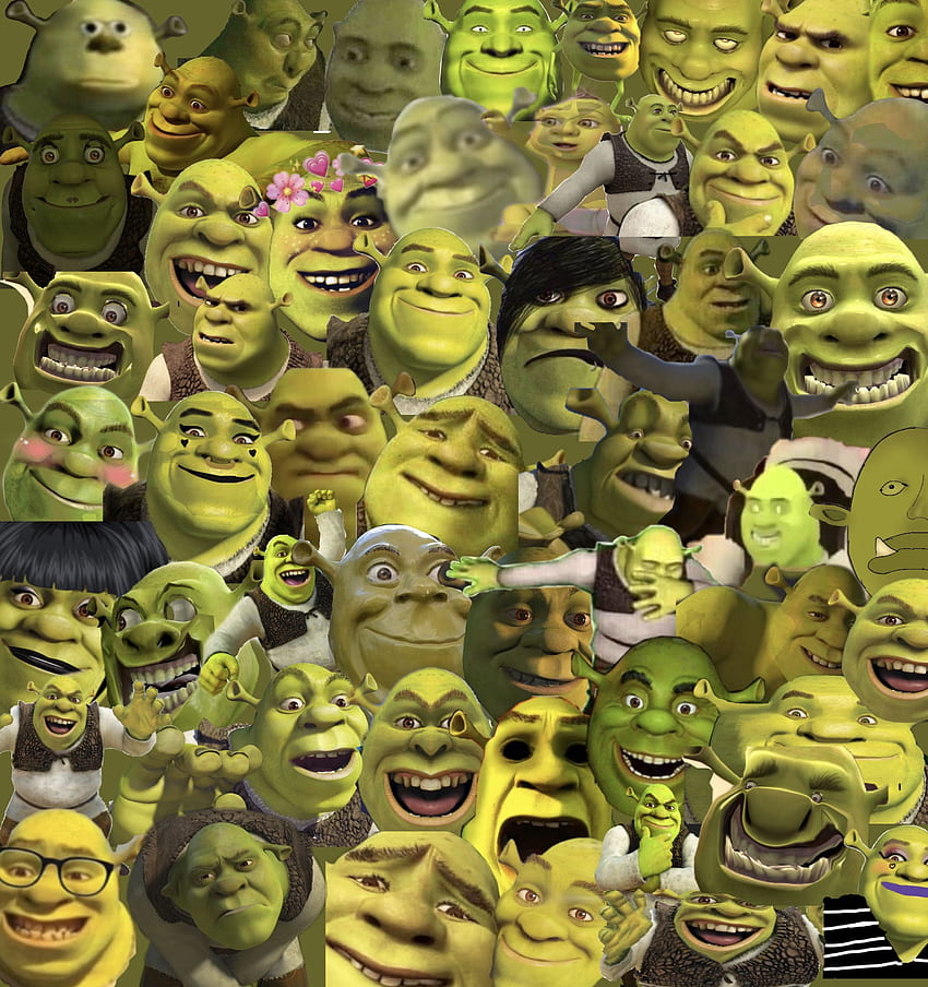 stEvE hARvEy sHREk  Shrek, Funny pix, Wallpaper