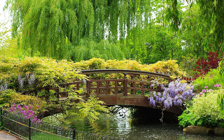 SPRING BRIDGE, 시간, 꽃, 봄, 초록 HD 월페이퍼