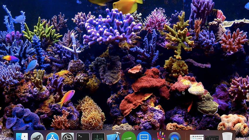 Schönes Aquarium Mac Live, dynamische Engine HD-Hintergrundbild