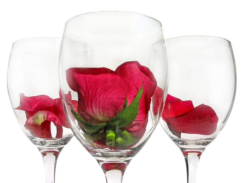 rosa nel bicchiere, rose, petali, rosso, bicchiere, fiori, vino Sfondo HD