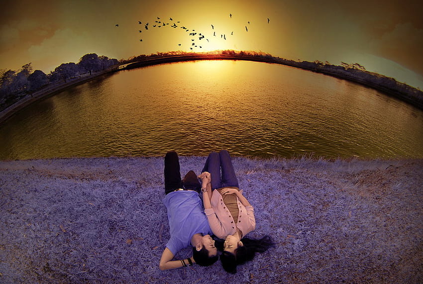 Romance is in the air.., sea, birds, lovers, romance, grass, purple, lying, couple, sun HD wallpaper