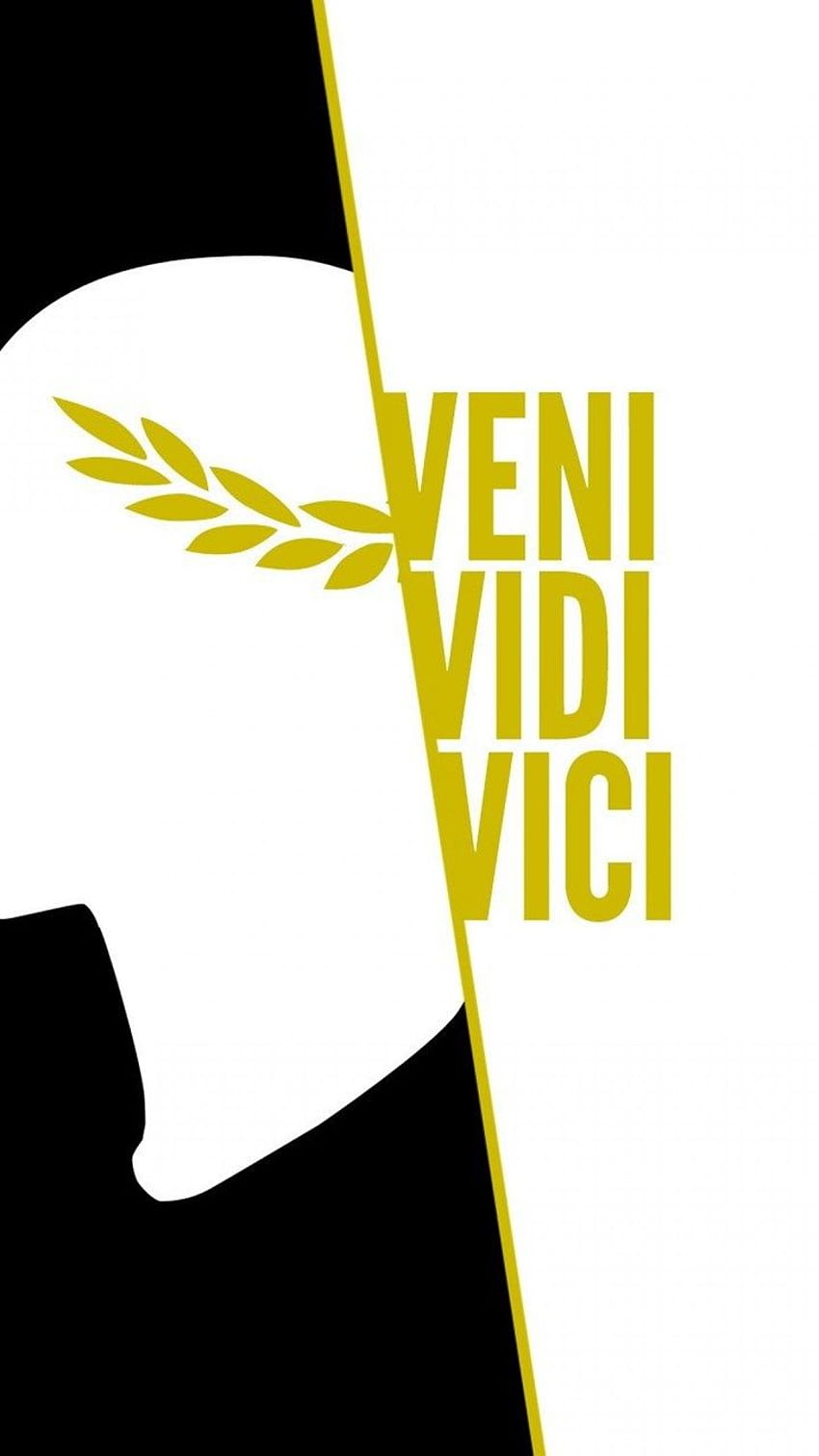 Veni Vidi Vici, Julius Caesar, Art . Background HD phone wallpaper | Pxfuel