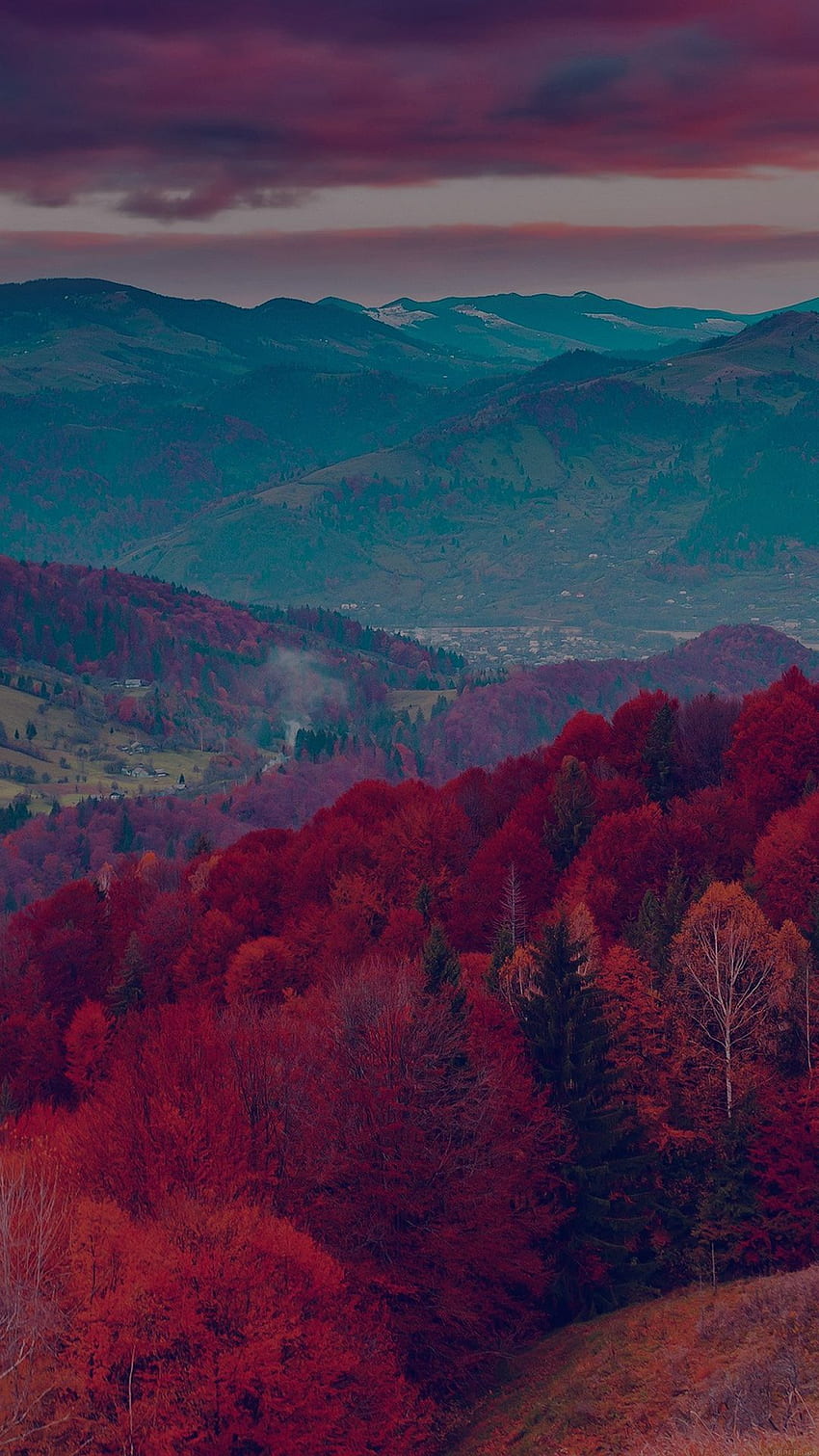 Fall Mountain Fun ต้นไม้สีแดง ธรรมชาติ มืด สวยงาม iPhone 6 . ไอโฟน ไอพี iPhone , ฤดูใบไม้ร่วง , Galaxy s8 วอลล์เปเปอร์โทรศัพท์ HD