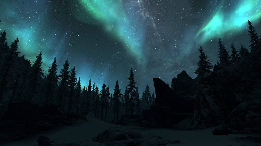 Northern Lights, Aurora Borealis and Wolf HD wallpaper | Pxfuel