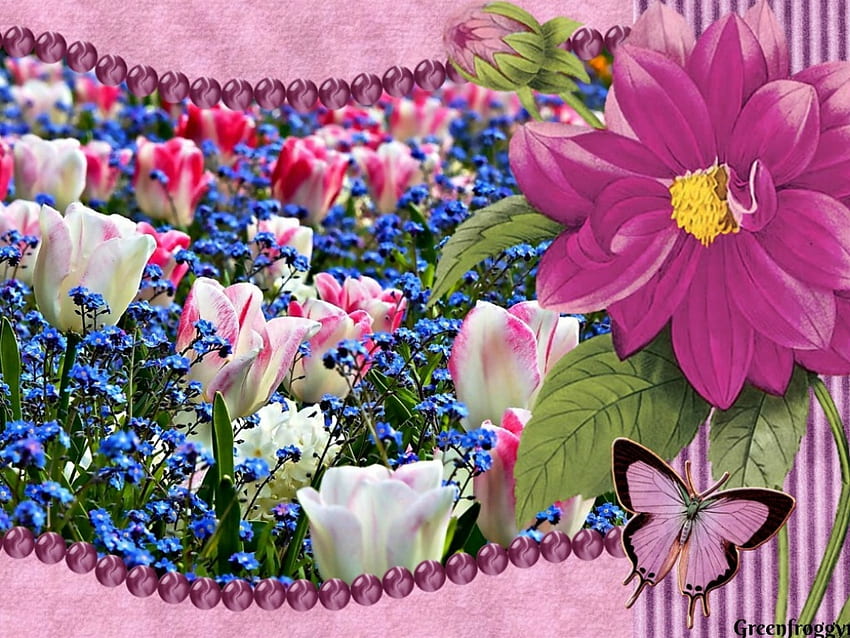 예쁜 정원, 예술, 꽃, 액자 HD 월페이퍼