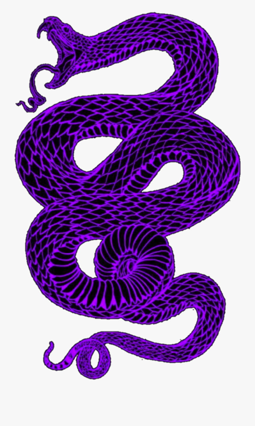 Aesthetic Snake Drawing (Page 1), Japanese Snake HD phone wallpaper