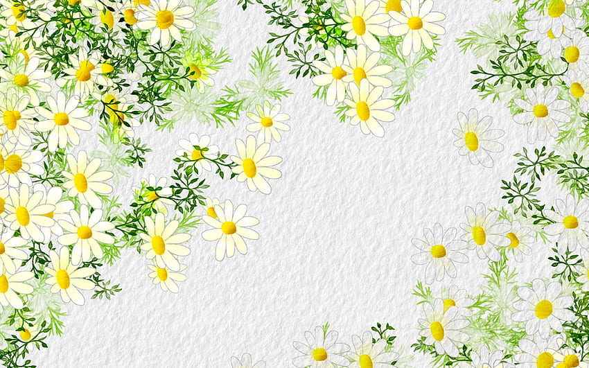 テクスチャ、夏、白、緑、黄色、花、カモミール、春、パターン 高画質の壁紙