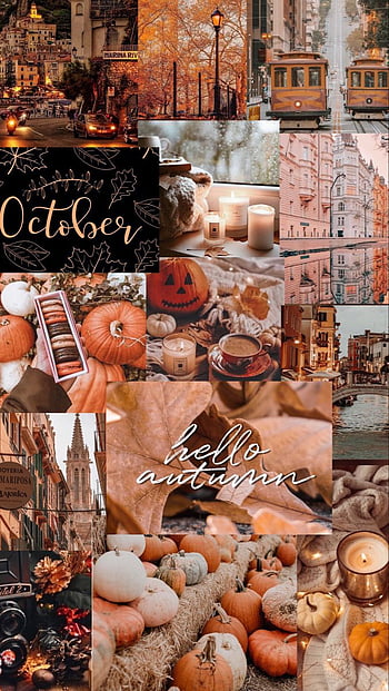 Fall wallpaper Comment for more  Autumn coffee Fall wallpaper Cute fall  wallpaper