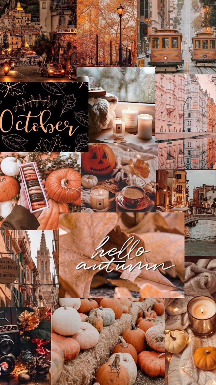 cozy . , Fall , Aesthetic iphone, Autumn Collage HD phone wallpaper