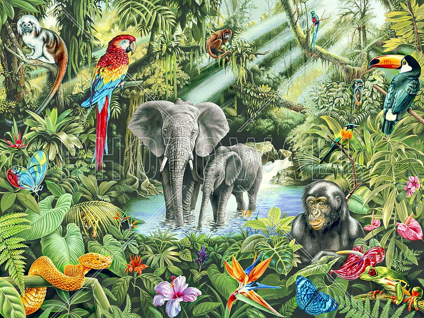 Jungle - Wall Mural & - wall. Jungle mural, Jungle wall mural, Jungle, Rainforest Animals HD wallpaper