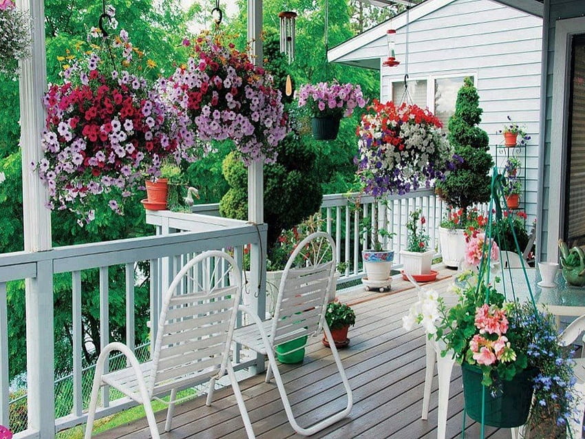 Balcony flowers, wooden, white, morning, flowers, balcony, serene, fresh, lovely HD wallpaper