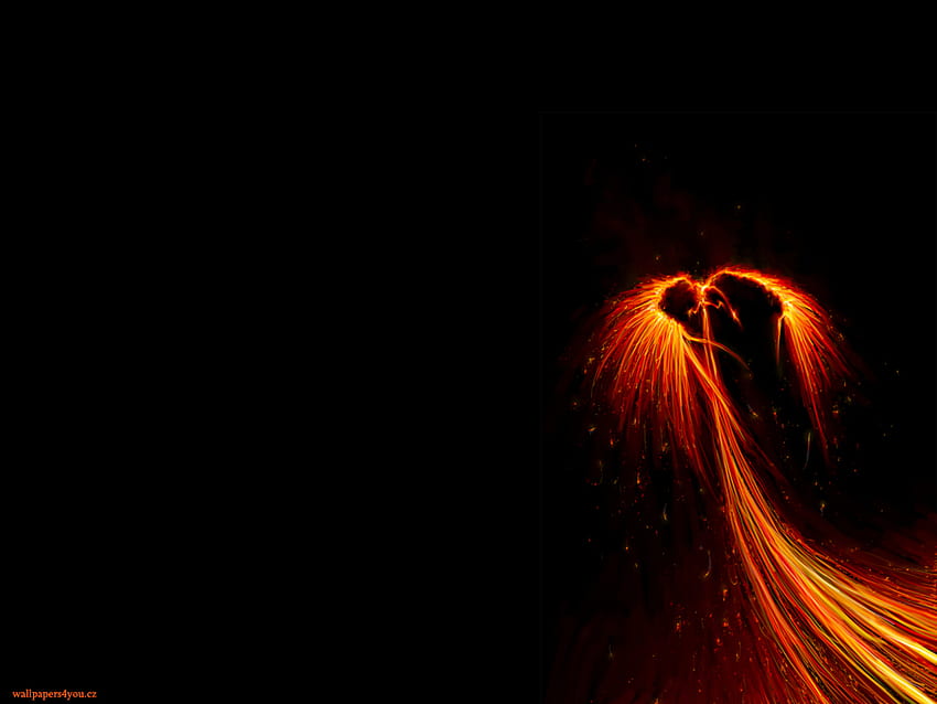 ...phoenix in the dark..., wings, phoenix, fire, dark HD wallpaper