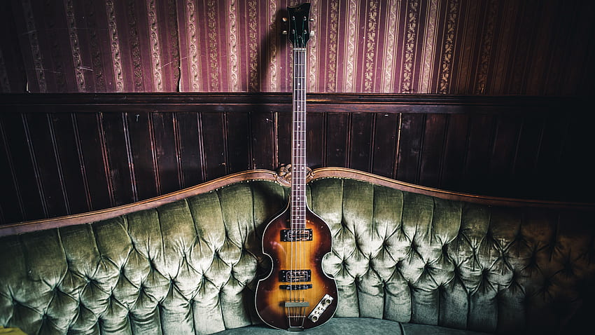 Höfner Violin Bass, Bass Guitar HD wallpaper