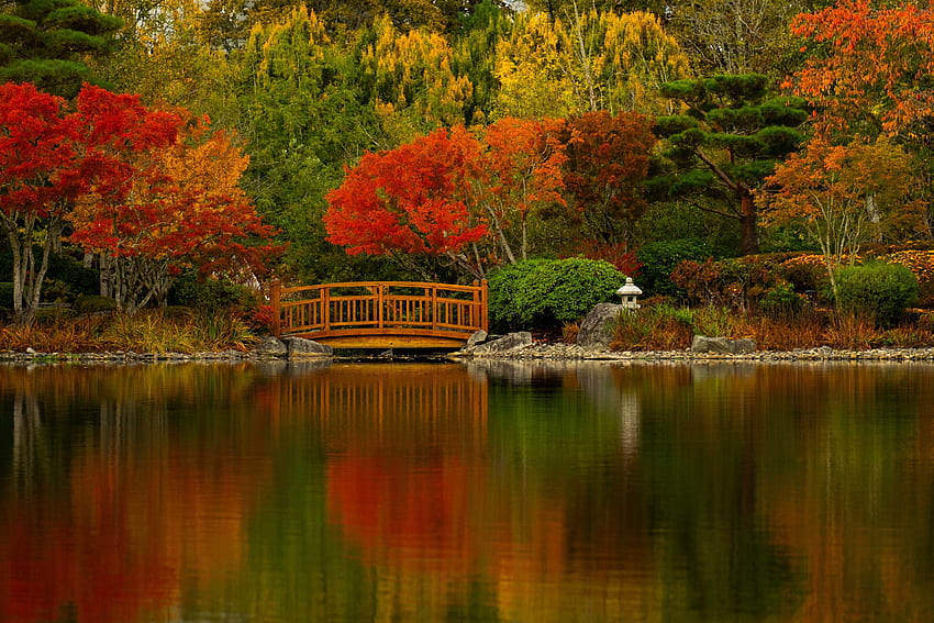 Ogród japoński, jezioro, jesień, most, drzewa, staw Tapeta HD