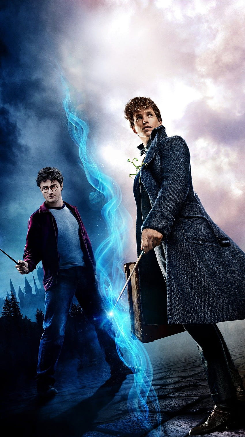 Harry Potter And Newt Scamander - - - Tip HD phone wallpaper