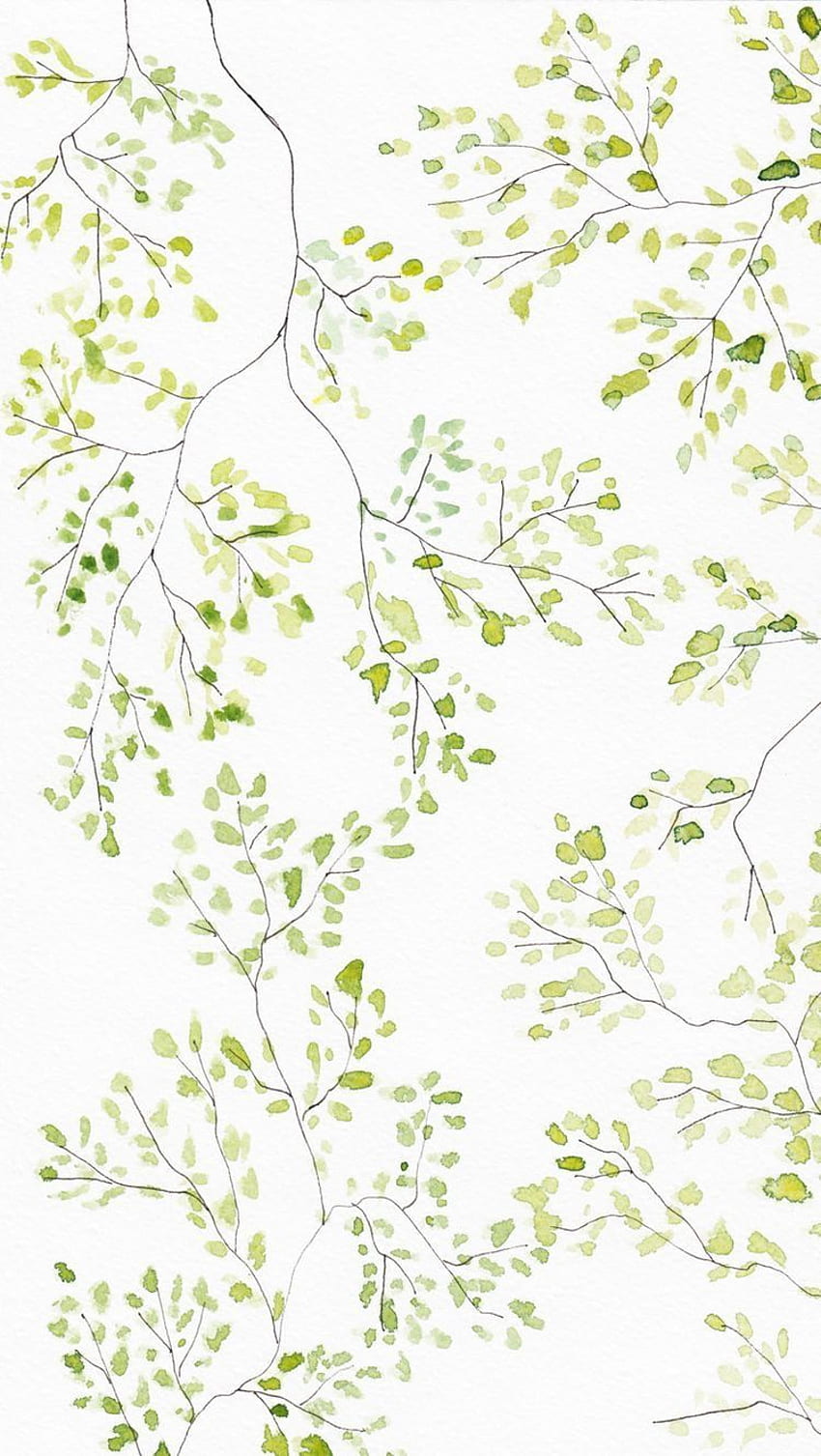 Green leaves. iPhone plants, Plant , Watercolor Leaves HD phone wallpaper