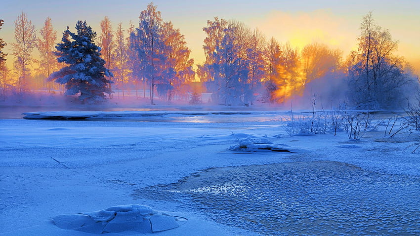 Voxnan River, Haelsingland, Sweden, winter, snow, colors, landscape, trees, sky, sunrise HD wallpaper