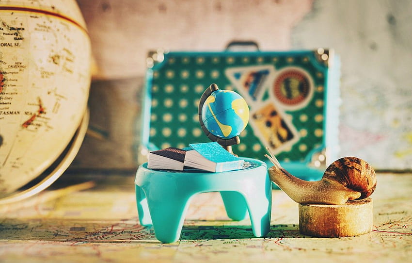 macro, table, background, study, books, map, snail, suitcase, class, school, geography, globe, the room, the study, geographic, textbooks for , section макро HD wallpaper