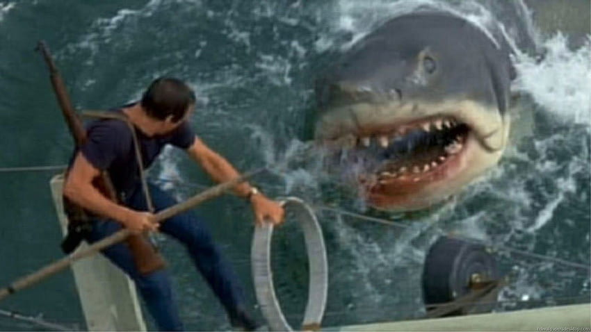 SHARK, Giant, Shark Puppet HD wallpaper | Pxfuel