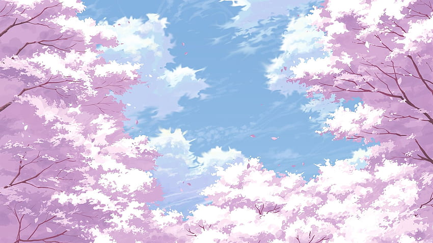 Sakura Blossom, Petals, Scenery, Sky, Cherry - Cherry Blossom Background  Anime, Sakura Flowers Anime HD wallpaper | Pxfuel