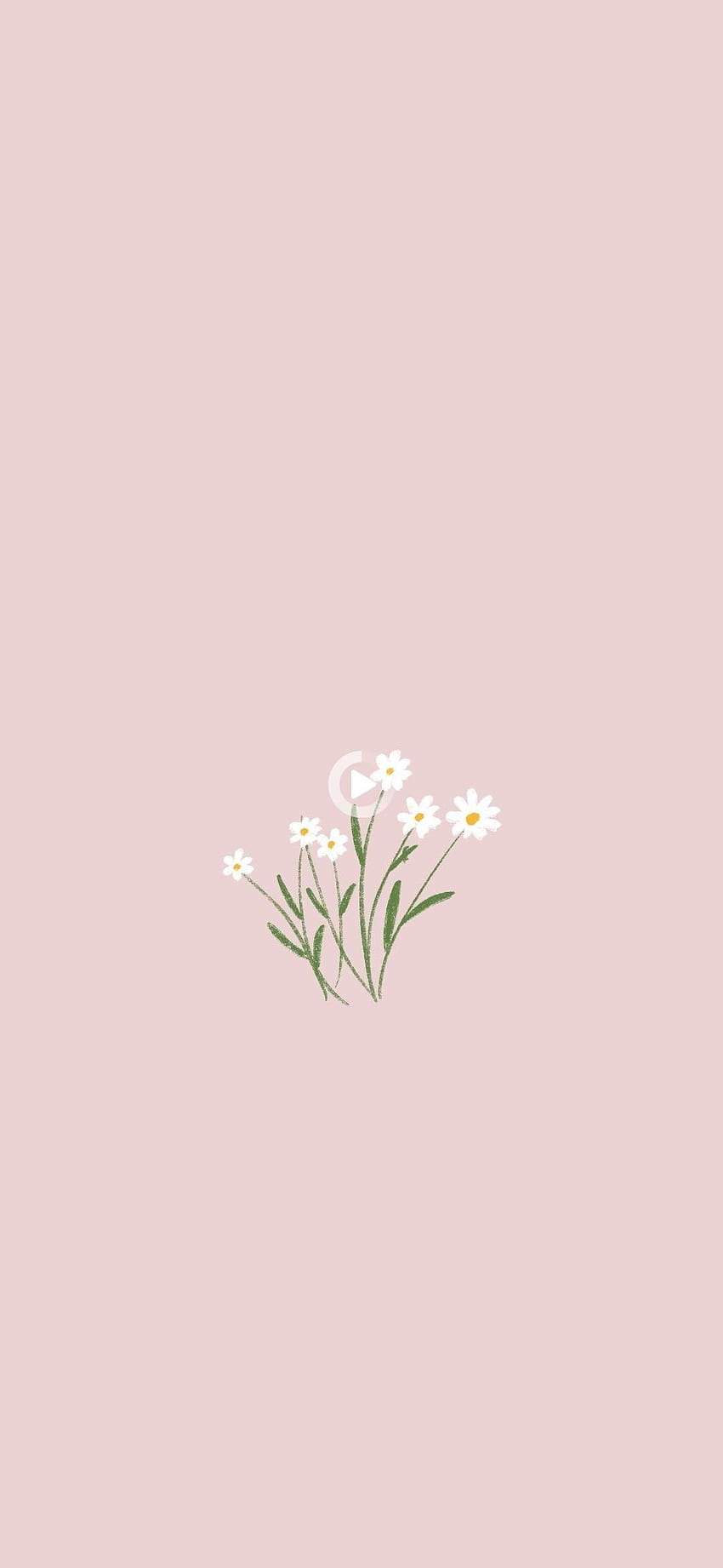 Aesthetic Flowers Wallpaper | Best Flower Site