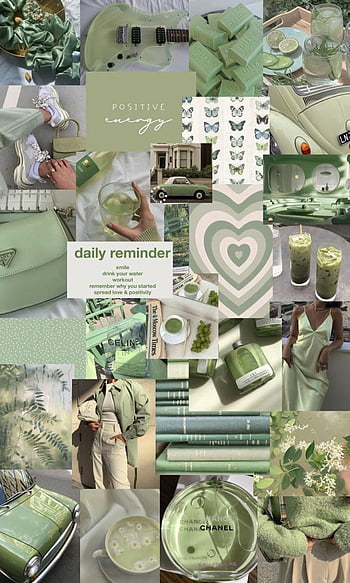 Sage Green Wallpaper Images  Free Photos PNG Stickers Wallpapers   Backgrounds  rawpixel