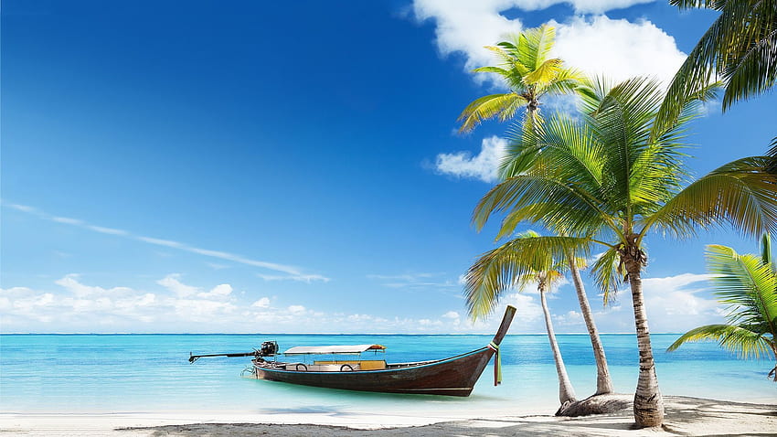 funny beach quotes.. Above Boat Tropical Beach - funny sailing, Funny Vacation HD wallpaper