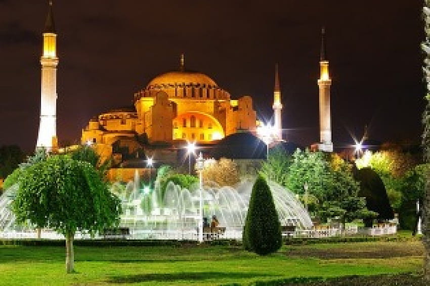 아름다운 터키, 아름다운, 칠면조, 모스크, 나무 HD 월페이퍼