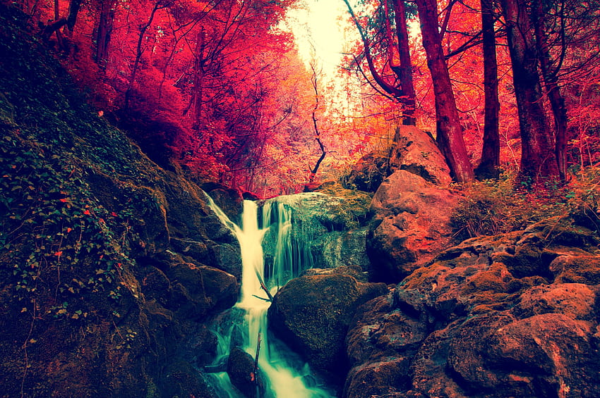 Есенен горски водопад, червено, дървета, водопад, есен, природа, гора, листа HD тапет