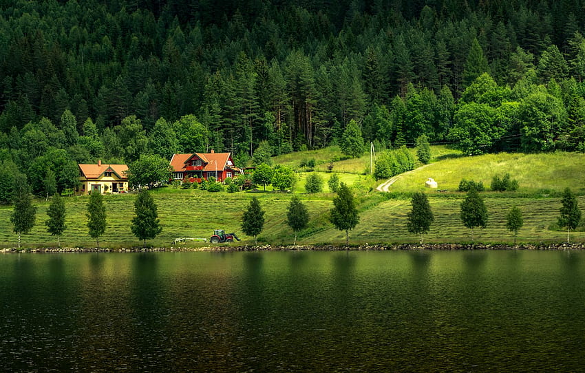 자연, 집, 숲, 노르웨이, 들판, 강, 섹션 природа, Nature Home HD 월페이퍼