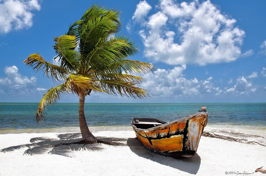 grafik Perahu kecil di bawah pohon palem di Florida Key, Florida Keys Wallpaper HD