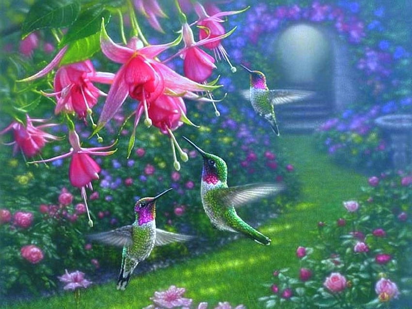 Cielo del colibrí, pájaros, jardín, colores, pinturas, primavera, verano, amor cuatro estaciones, animales, colibríes, flores. fondo de pantalla