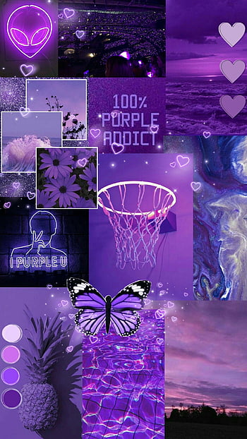 Purple Hd Wallpaper  NawPic