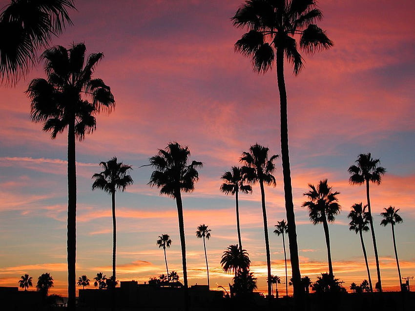Kalifornia - zachód słońca na plaży w Los Angeles Tapeta HD