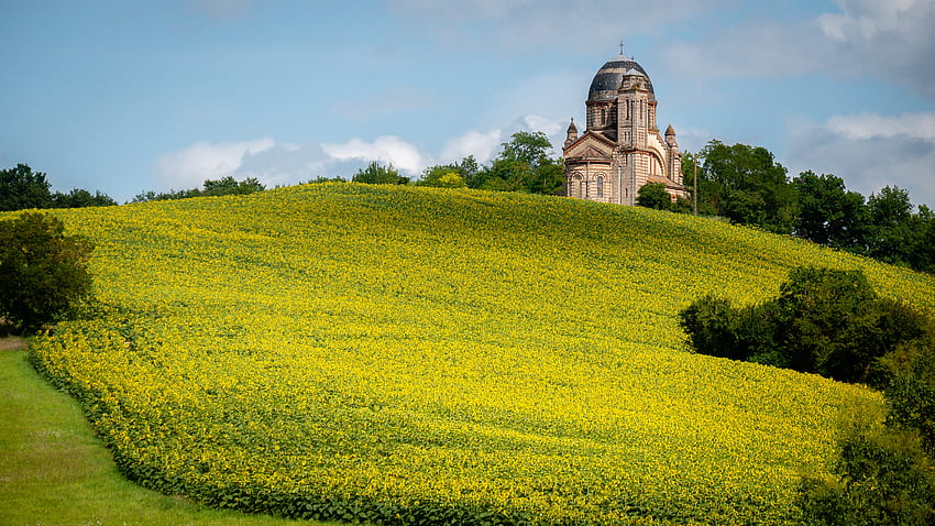 美しい風景 自然 教会 緑の木々 茂み 黄色い花 青い空 背景 自然 高画質の壁紙